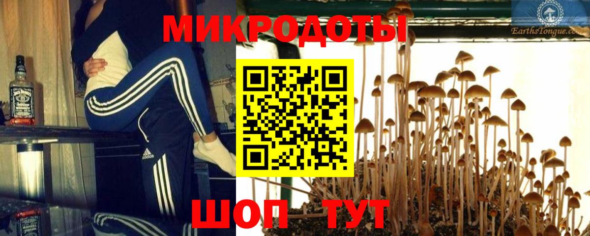 Новозыбков  Псилоцибиновые грибы Magic Shrooms  Вход с VPN 